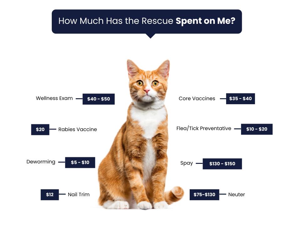 Humane Society of the High Plains - Fee Graphic copy