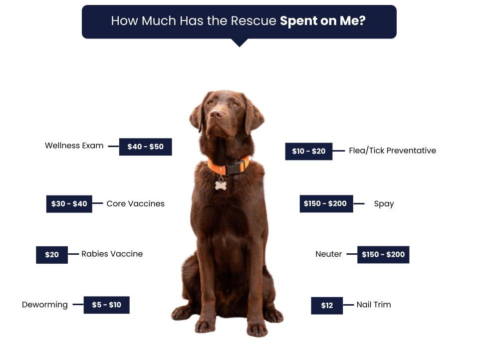 Humane Society of the High Plains - Fee Graphic